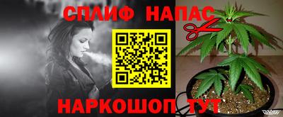 крисы Бузулук