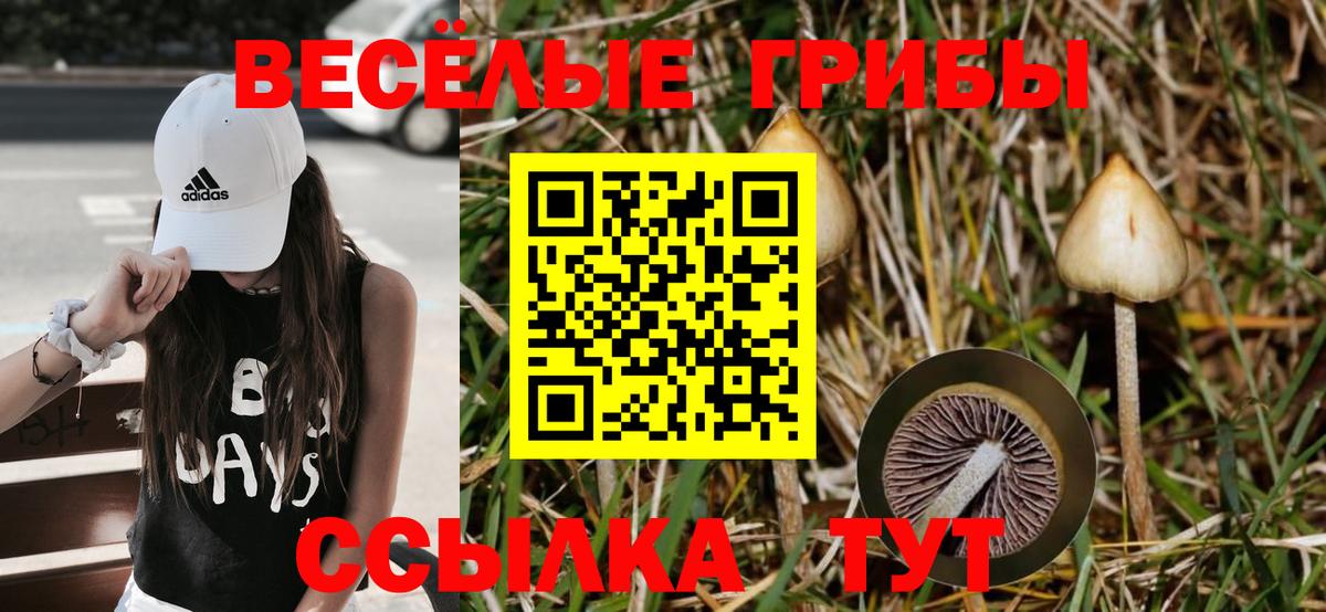 Псилоцибиновые грибы ЛСД Апшеронск